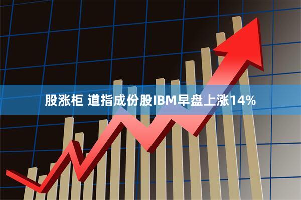 股涨柜 道指成份股IBM早盘上涨14%